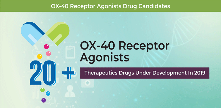 OX40 Receptor Agonists