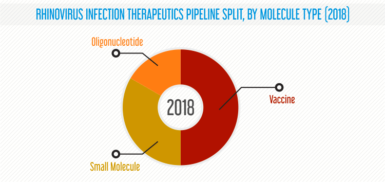 Rhinovirus Infection Therapeutics