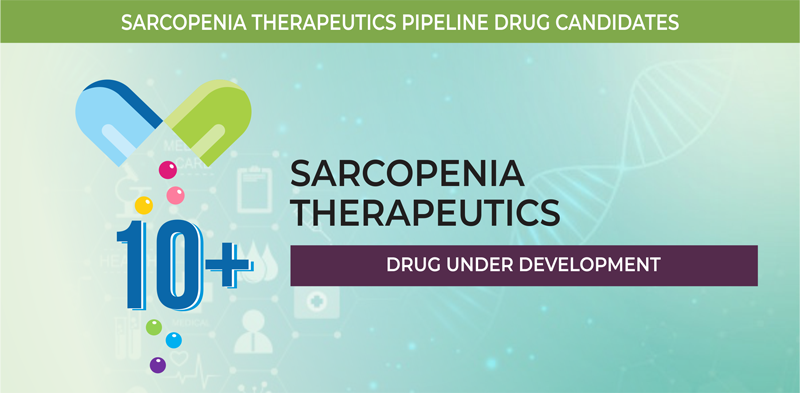 Sarcopenia Therapeutics