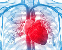 Hypertrophic Cardiomyopathy Therapeutics - Pipeline Analysis 2018