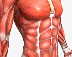 Intermittent Claudication Therapeutics - Pipeline Analysis 2018